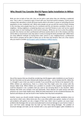 Why Should You Consider Bird & Pigeon Spike Installation In Milton Keynes
