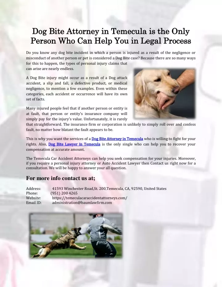 dog dog bite person who can help you in legal