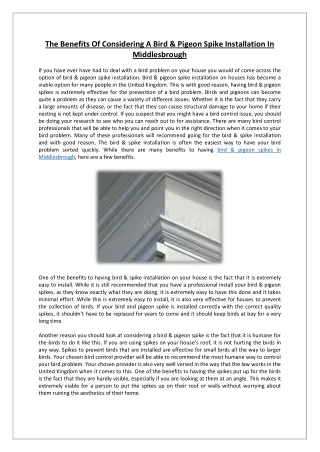 The Benefits Of Considering A Bird & Pigeon Spike Installation In Middlesbrough