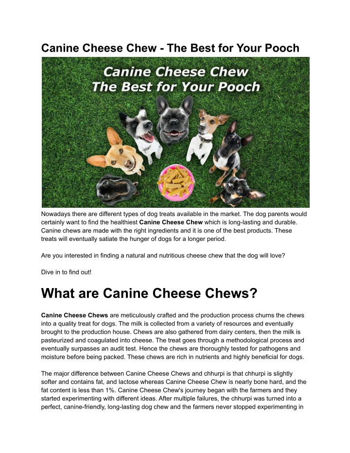 canine cheese chew the best for your pooch