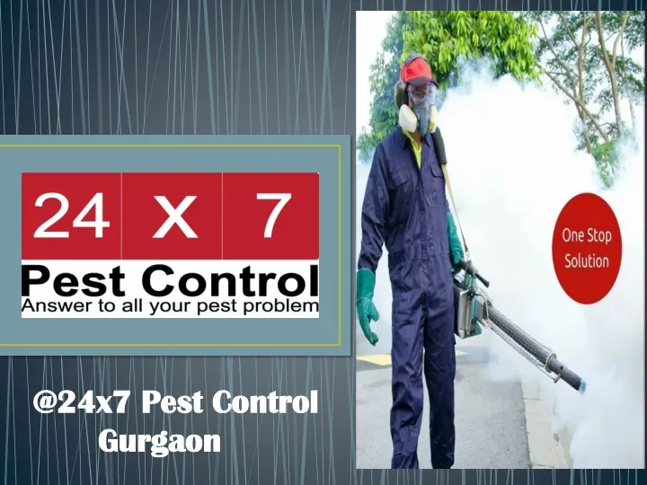 @24x7 pest control gurgaon