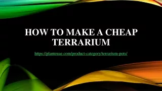 How to make a cheap terrarium