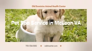 old dominion animal health center
