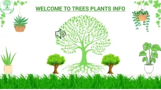 welcome to trees plants info
