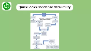 QuickBooks Condense data utility
