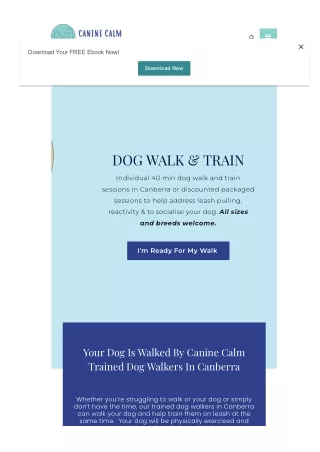Affordable Dog Walkers in Canberra