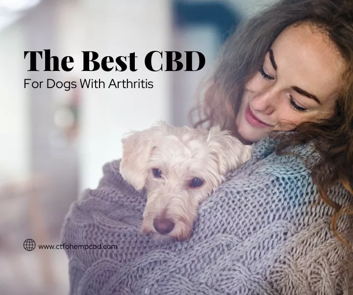 the best cbd for dogs with arthritis