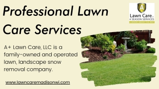 Professional Lawn Care Services | A  Lawn Care