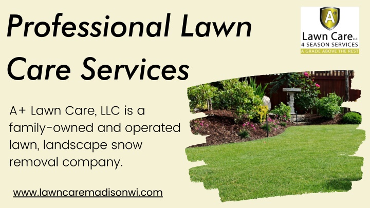 professional lawn care services