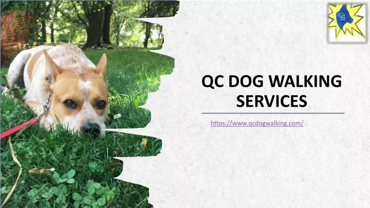 qc dog walking services