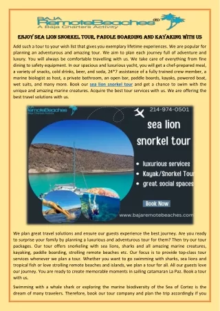 Enjoy sea lion snorkel tour, Paddle boarding and Kayaking with us 