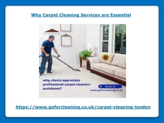 why carpet cleaning services are essential