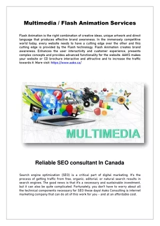 multimedia flash animation services