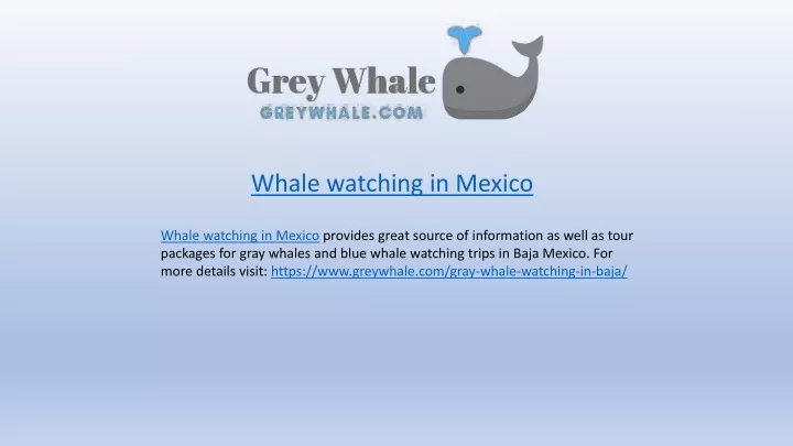 whale watching in mexico