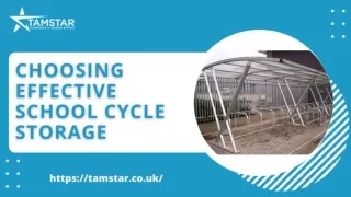 Choosing Effective School Cycle Storage | Tamstar