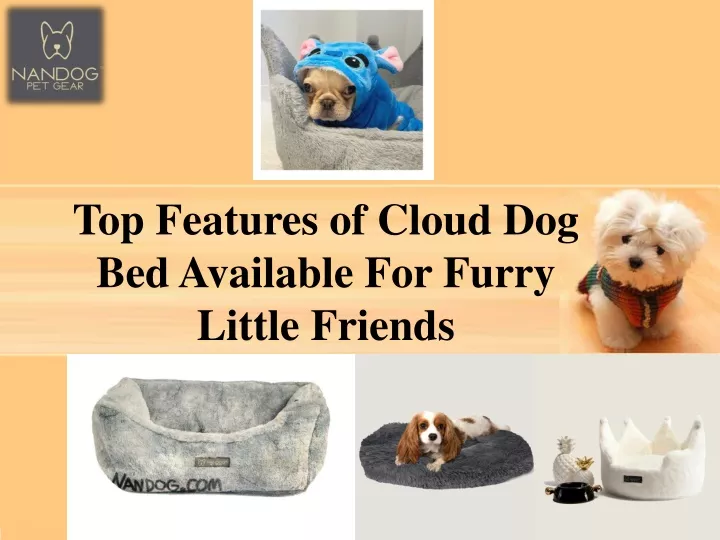 top features of cloud dog bed available for furry little friends