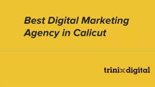 best digital marketing agency in calicut