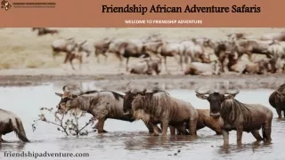 African Adventure Safaris