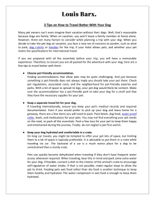 Designer Dog Clothes Top Tips For Traveling With Your Dogs