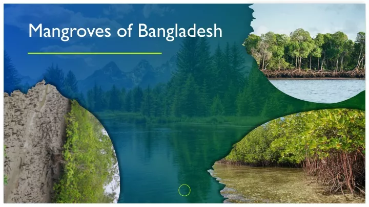 mangroves of bangladesh