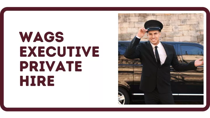 wags executive private hire