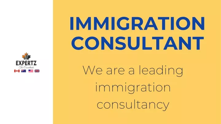 immigration consultant