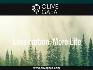 Carbon Offset Subscription