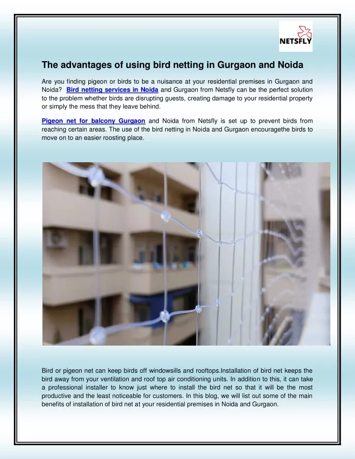 the advantages of using bird netting in gurgaon