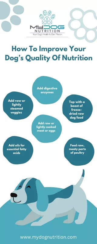 How To Improve Your Dog’s Quality Of Nutrition