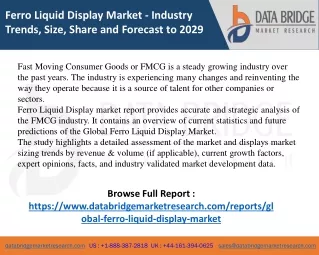 Ferro Liquid Display market