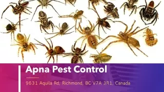 apna pest control