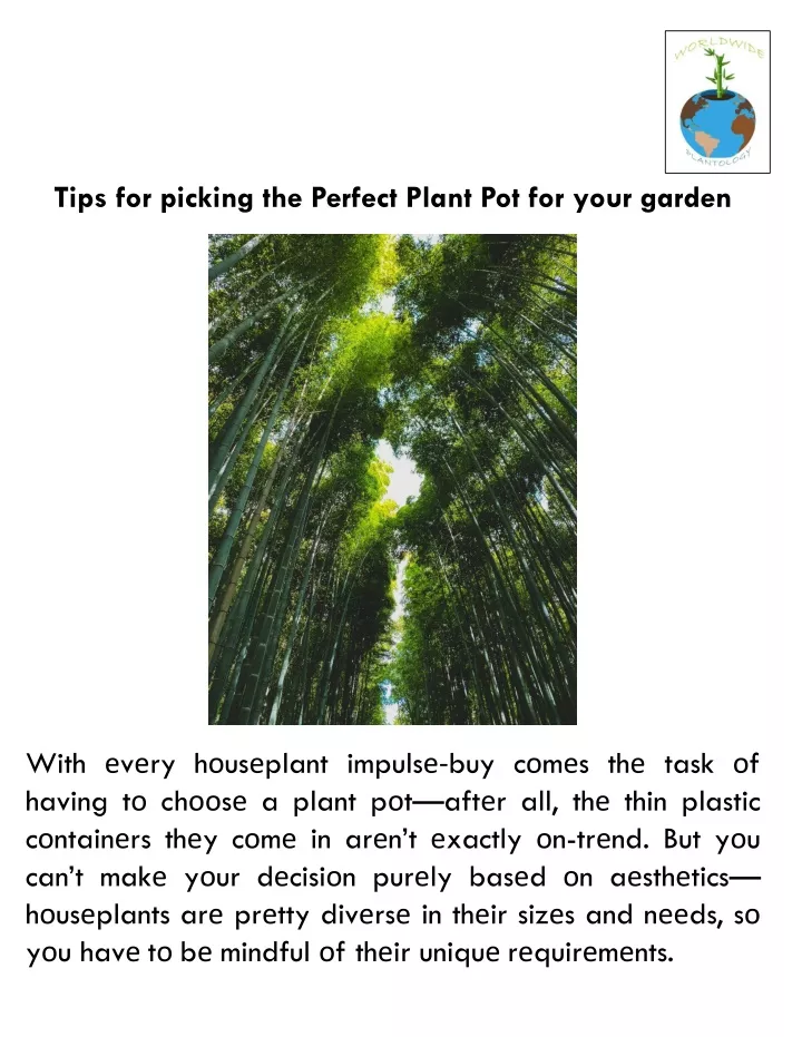 PPT - Tips For Picking The Perfect Plant Pot For Your Garden PowerPoint ...