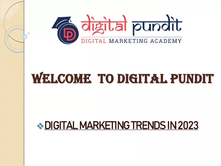 welcome to digital pundit