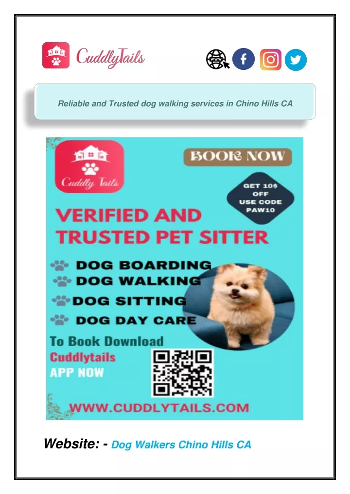 reliable and trusted dog walking services