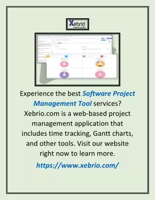 experience the best software project management