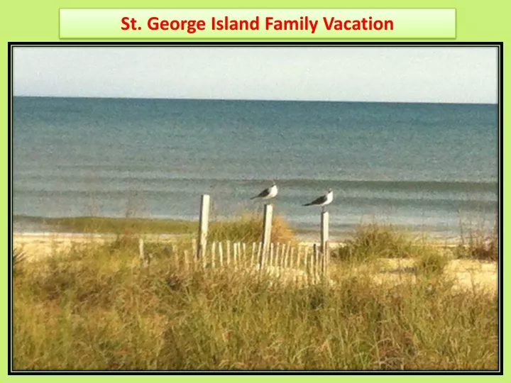 st george island family vacation