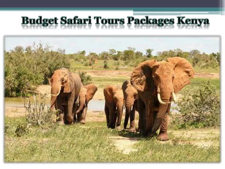 budget safari tours packages kenya