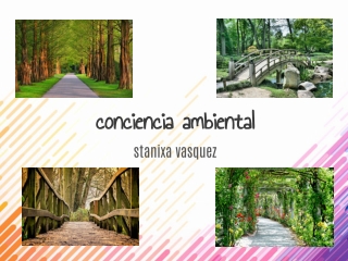 conciencia ambiental stanixa vasquez