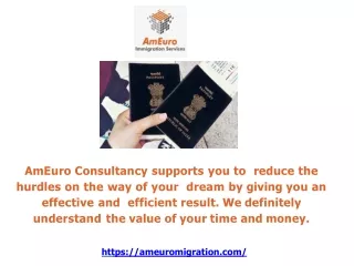 AmEuro Immigration Services