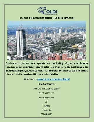 agencia de marketing digital | Coldisidium.com