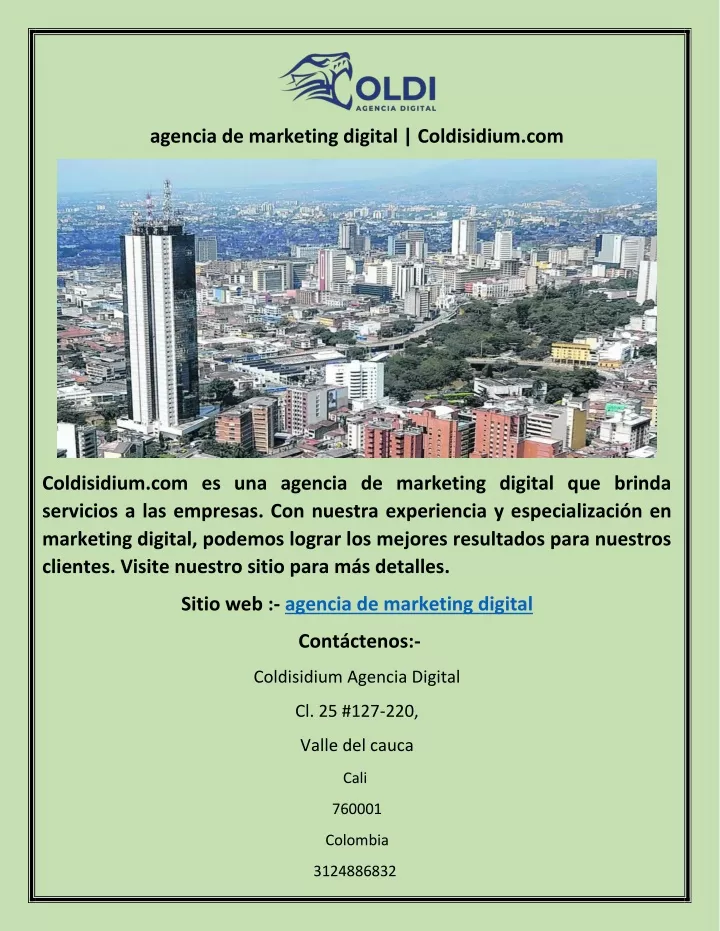 agencia de marketing digital coldisidium com