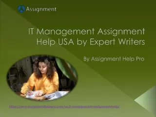 it management assignment help usa by expert writers