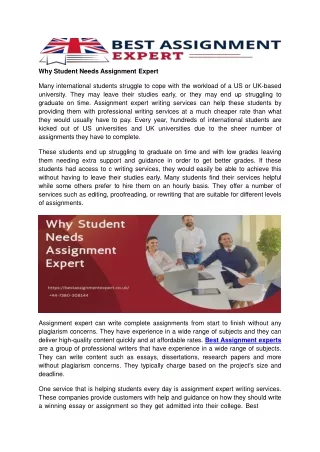 why student needs assignment expert many