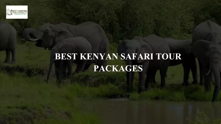 best kenyan safari tour packages