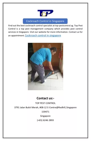 cockroach control in singapore