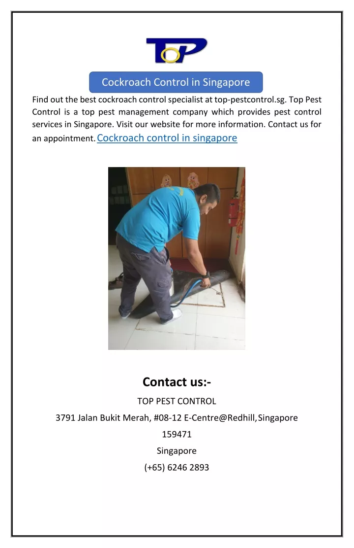 cockroach control in singapore