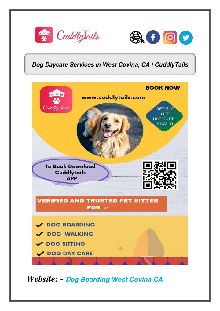 dog daycare services in west covina ca cuddlytails