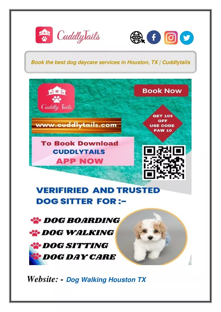 book the best dog daycare services in houston