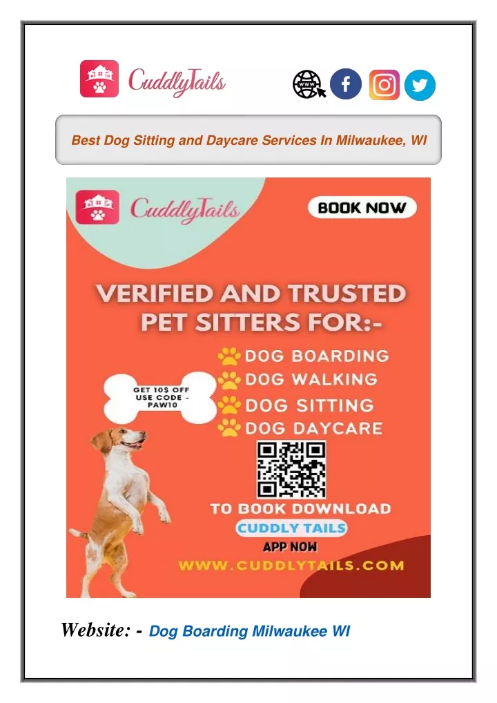 best dog sitting and daycare services