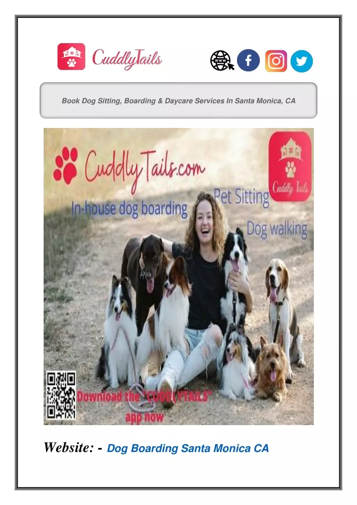 book dog sitting boarding daycare services